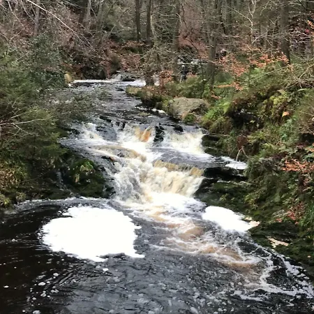 La Colombe 4* פרנקורשנס
