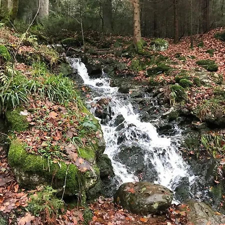 Frühstückspension La Colombe *