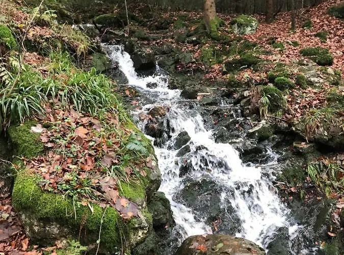 Bed & Breakfast La Colombe 4*